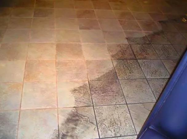 Triple J Carpet Cleaning photo 2