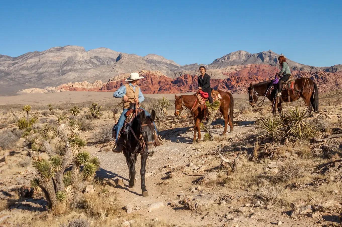 Cowboy Trail Rides photo 1