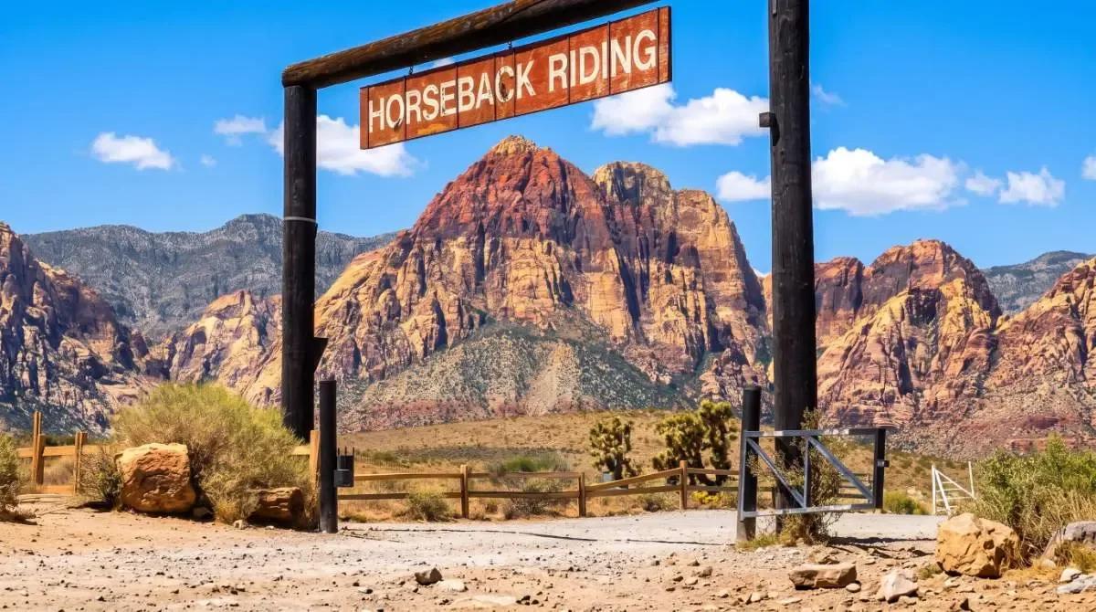 Cowboy Trail Rides